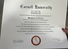 Cornell University diploma