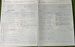 Read more about the article University of Toronto transcript of consolidated academic record
