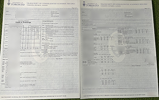 U of T academic transcript