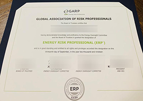 Read more about the article Homage GARP ERP Certification, buy a ERP GARP Certificate