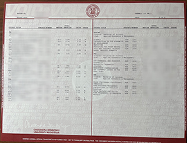 Cornell University transcript