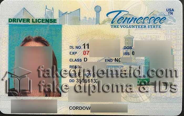 Tennessee ID card