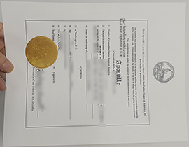Read more about the article Buy Columbia apostille certificate, get a District of Colimbia Apostille