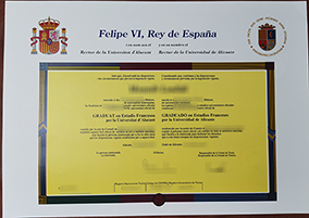 Universidad de Alicante diploma