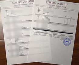 Read more about the article Fake NEU student transcript, YDÜ transcript of academic record