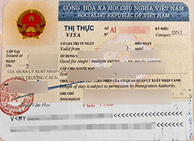 Read more about the article Order a fake Vietnam DN visa, buy Vietnam visa