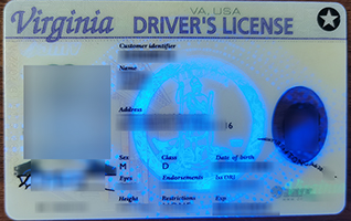 fake VA driver's license