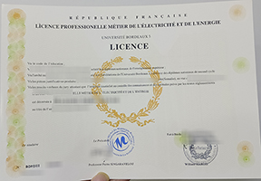 fake Bordeaux Uni diploma