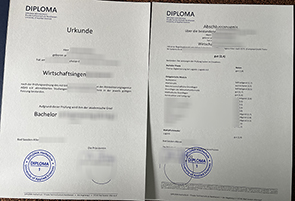 DILOMA Hochschule degree and transcript