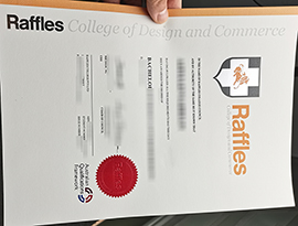 Raffles College of design diploma