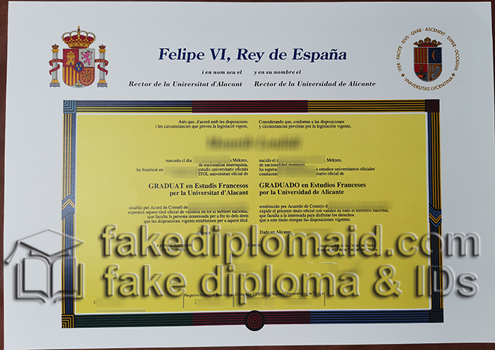  Universidad de Alicante diploma