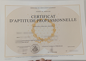 Read more about the article ACADEMIE DE VERSAILLES certificate, Versailles college degree