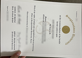 SKKU diploma