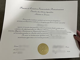 A fake Universitas Princetoniensis diploma