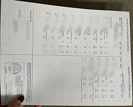 Read more about the article UC Davis forged official transcript, UCD score sheet