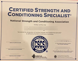 Read more about the article Looking for a CSCS NSCA certificate now, buy CSCS cert