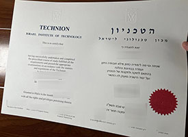 a fake Israel Institute of Technology diploma