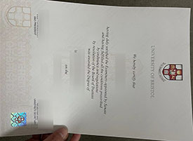 Bristol fake diploma new