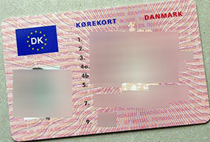 Denmark driving license