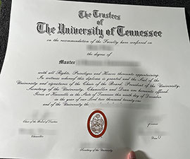 University of Tennessee master degree