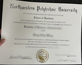 A fake NPU diploma