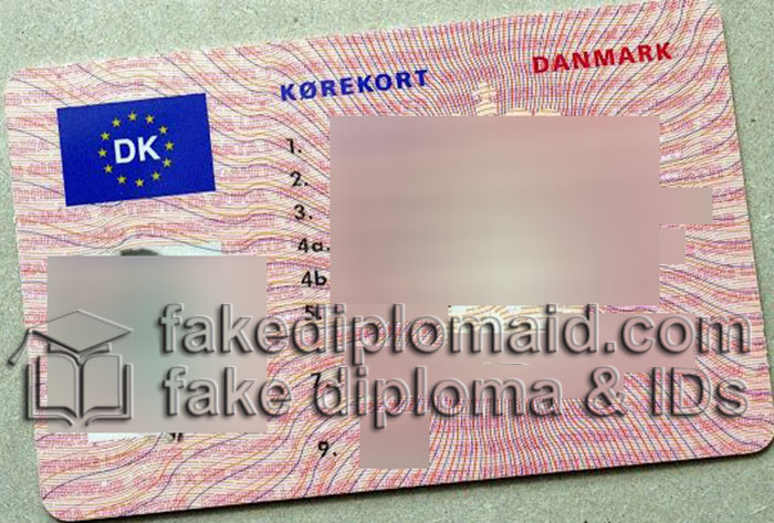 Denmark driving license