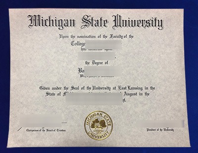 Fake MSU Diploma