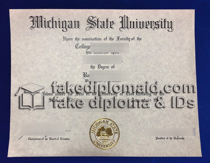 Fake MSU Diploma