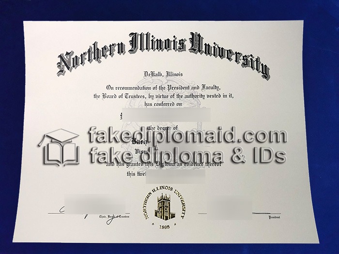 Fake NIU Diploma