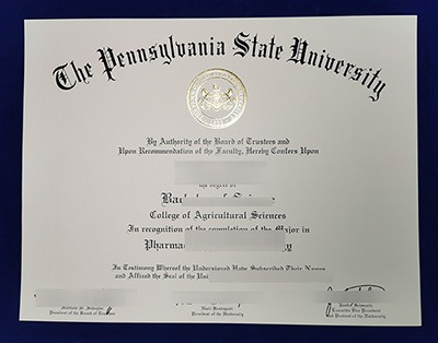 Read more about the article The Best Benefit of Buy a Fake Pennsylvania State University Diploma
