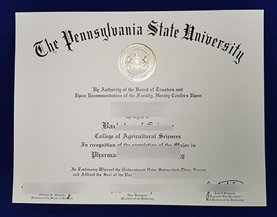 PSU Diploma