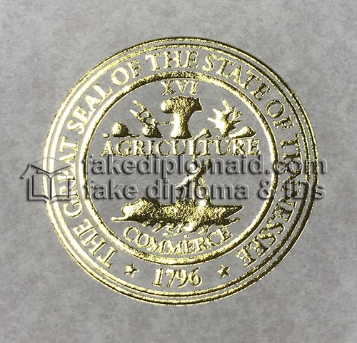 Fake Tennessee Tech Diploma seal