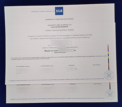 Fake ULB Diploma