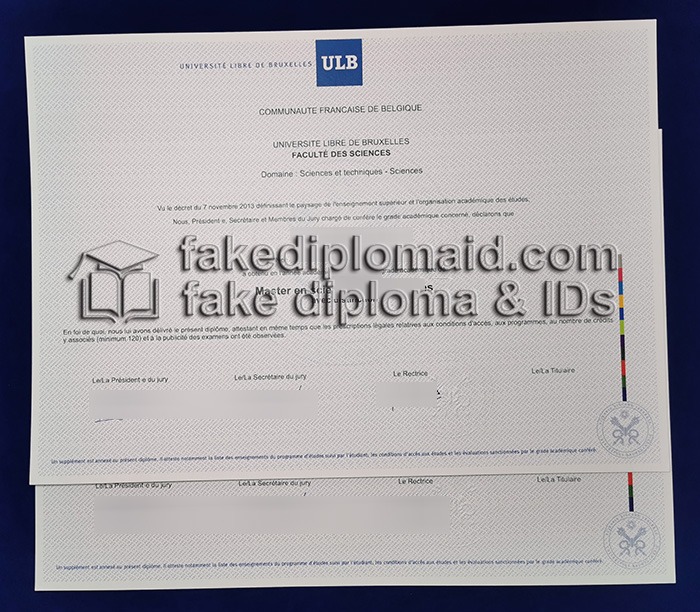 Fake ULB Diploma