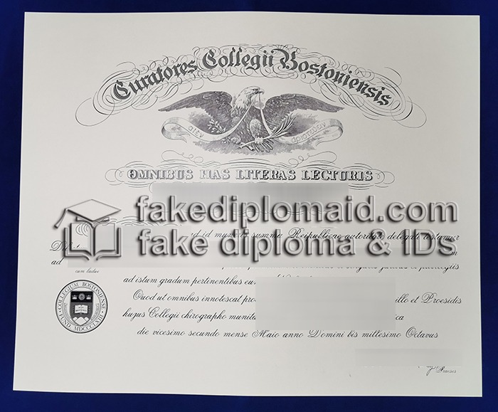 Fake Boston College Diploma