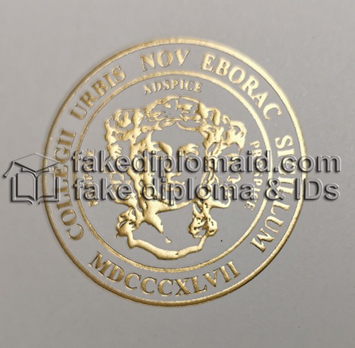 City College of New York Diploma seal