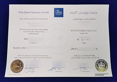 Read more about the article Steps to Buy a Fake Holy Spirit University of Kaslik Diploma