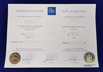 Holy Spirit University of Kaslik Diploma