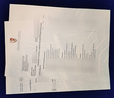 Fake AUT Transcript