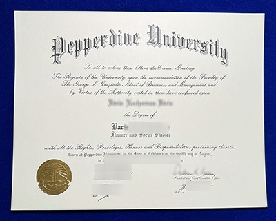 Read more about the article Cost to Buy a Fake Pepperdine University Diploma