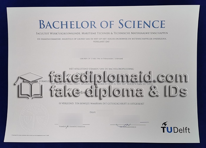 Fake TU Delft Diploma