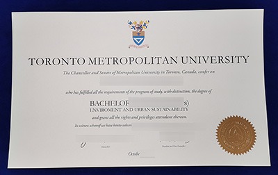 Fake TMU Diploma