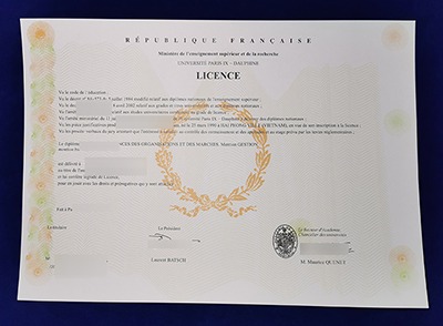 Fake Paris Dauphine University Diploma