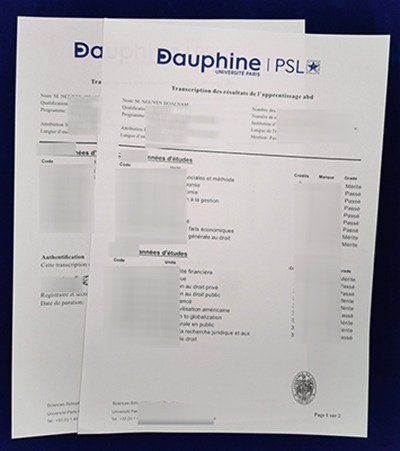 Read more about the article Ways to Get a Fake Paris Dauphine University Transcript