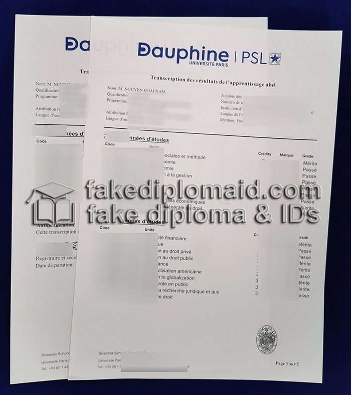 Fake Paris Dauphine University Transcript