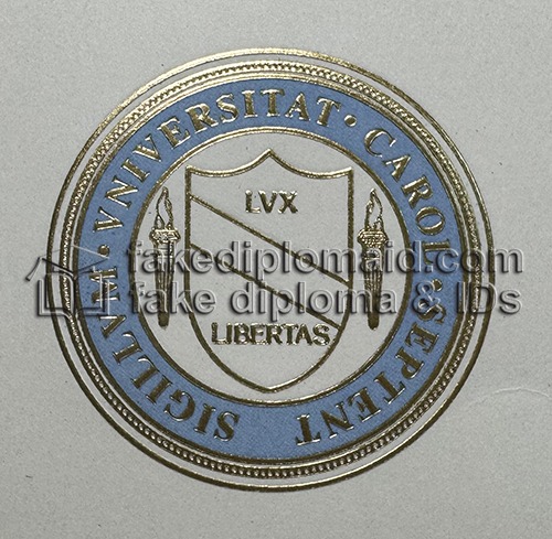 University of North Carolina at Chapel Hill Diploma seal