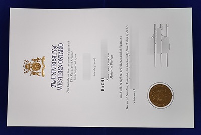 Fake UWO Diploma