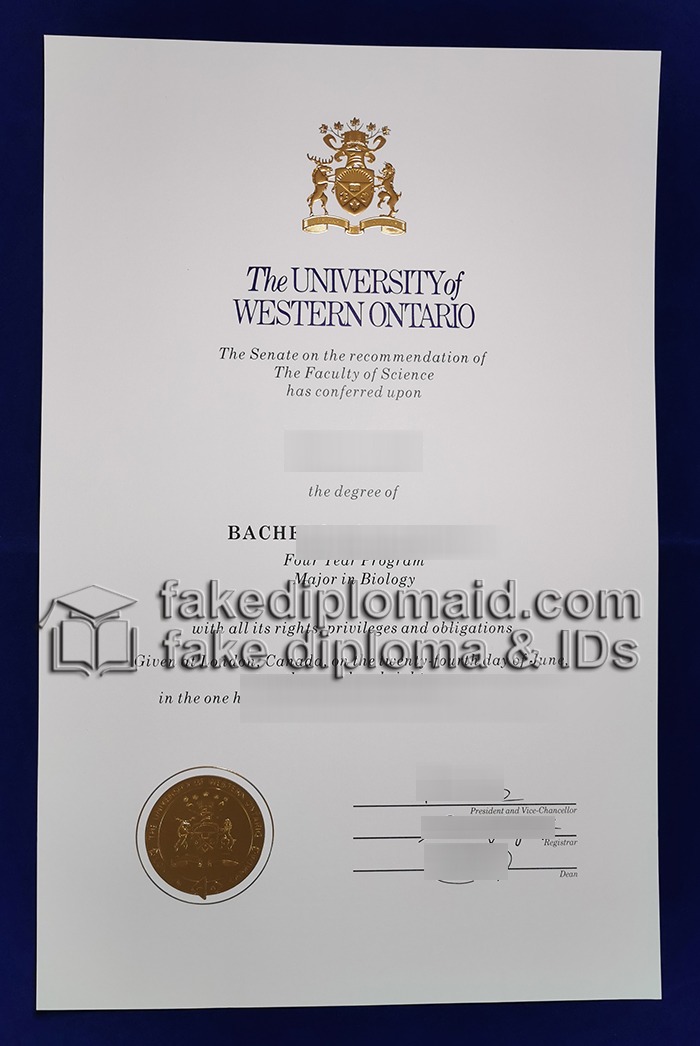 Fake UWO Diploma