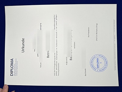 DIPLOMA Fachhochschule Nordhessen Urkunde