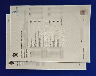 Swansea University Transcript